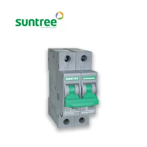 DC Circuit Breaker 2P 550VDC 32A